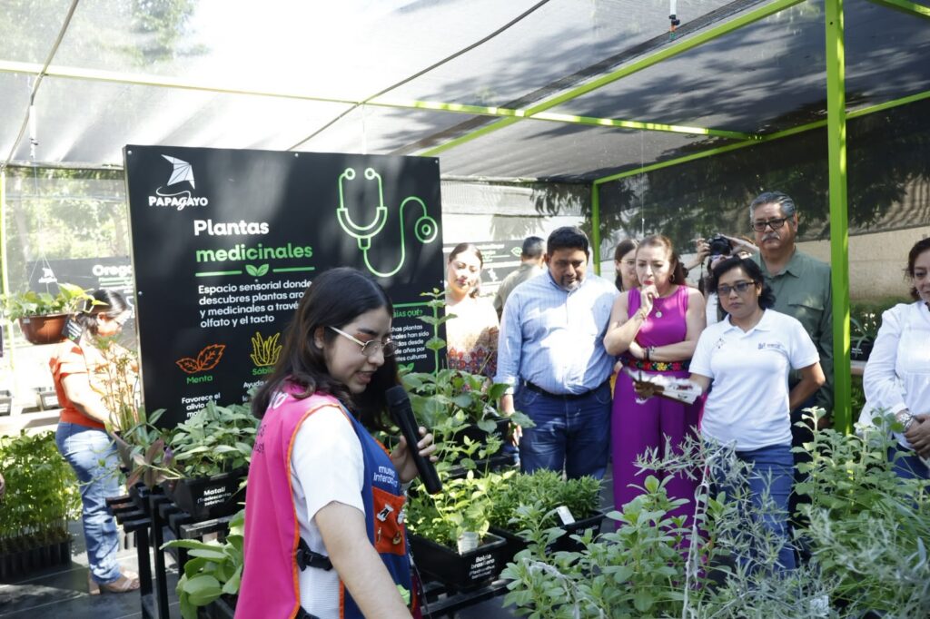 Abren Vivero Papagayo Por El Bienestar: Un Espacio Educativo Para Acercar A La Niñez Al Cuidado Y Respeto Del Medio Ambiente En Tabasco Abren Vivero Papagayo Por El Bienestar: Un Espacio Educativo Para Acercar A La Niñez Al Cuidado Y Respeto Del Medio Ambiente En Tabasco