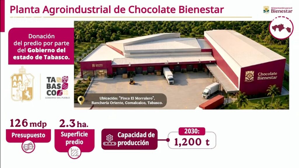 Impulsan El Campo Tabasqueño: Anuncian Nuevo Ciclo De Acopio De Cacao Y Consolidan La Estrategia De Precio Justo Impulsan El Campo Tabasqueño: Anuncian Nuevo Ciclo De Acopio De Cacao Y Consolidan La Estrategia De Precio Justo