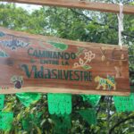 Letrero De Madeira Tallada E Pintada Colgado Dunha Estrutura De Madeira, Co Texto &Quot;Caminando Entre La Vida Silvestre&Quot; E Ilustracións De Fauna E Cacao, Situado Nunha Contorna Natural En Cunduacán, Tabasco, Adornado Con Bandeirolas De Papel Picado Verde.