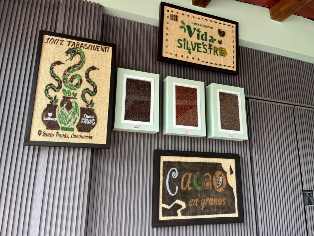 Cacao, Innovación Y Turismo: Inauguran La Experiencia “Caminando Entre La Vida Silvestre” En Cunduacán Para Impulsar El Desarrollo De Tabasco Cacao, Innovación Y Turismo: Inauguran La Experiencia “Caminando Entre La Vida Silvestre” En Cunduacán Para Impulsar El Desarrollo De Tabasco