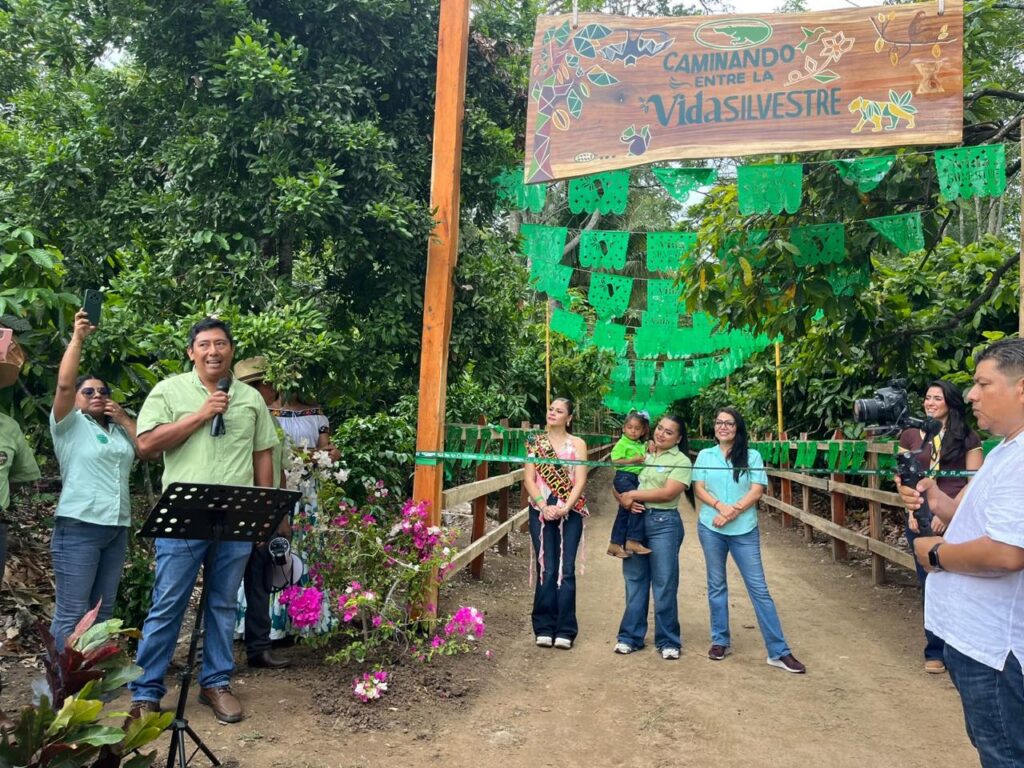 Cacao, Innovación Y Turismo: Inauguran La Experiencia “Caminando Entre La Vida Silvestre” En Cunduacán Para Impulsar El Desarrollo De Tabasco Cacao, Innovación Y Turismo: Inauguran La Experiencia “Caminando Entre La Vida Silvestre” En Cunduacán Para Impulsar El Desarrollo De Tabasco