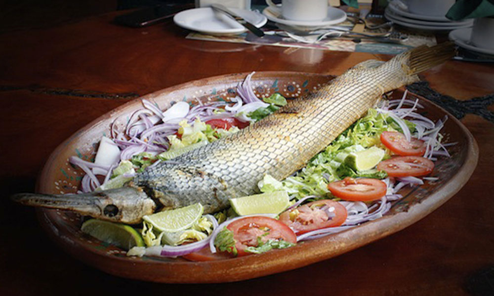 De Pejelagarto A Pozol 7 Sabores Que Explican La Cocina Tabasqueña