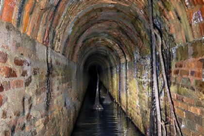 Vista Interior De Un Antiguo Túnel Abovedado De Ladrillo Con Un Canal De Agua En El Suelo. Dos Estalagmitas Oscuras Y Delgadas Emergen Del Agua, Y Raíces De Árboles Cuelgan De La Pared Derecha. El Túnel Se Curva Hacia La Oscuridad Total En La Distancia.
