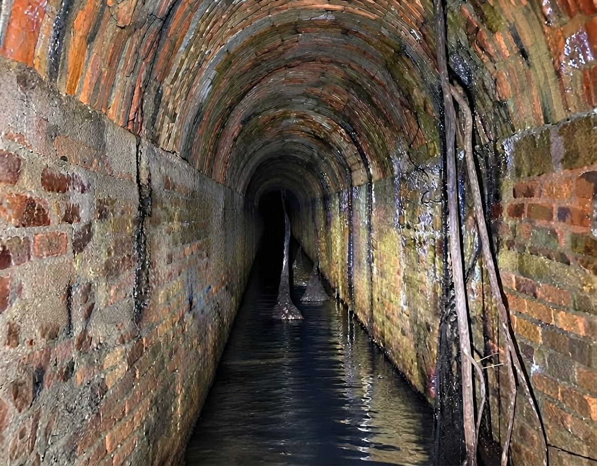 Vista Interior De Un Antiguo Túnel Abovedado De Ladrillo Con Un Canal De Agua En El Suelo. Dos Estalagmitas Oscuras Y Delgadas Emergen Del Agua, Y Raíces De Árboles Cuelgan De La Pared Derecha. El Túnel Se Curva Hacia La Oscuridad Total En La Distancia.