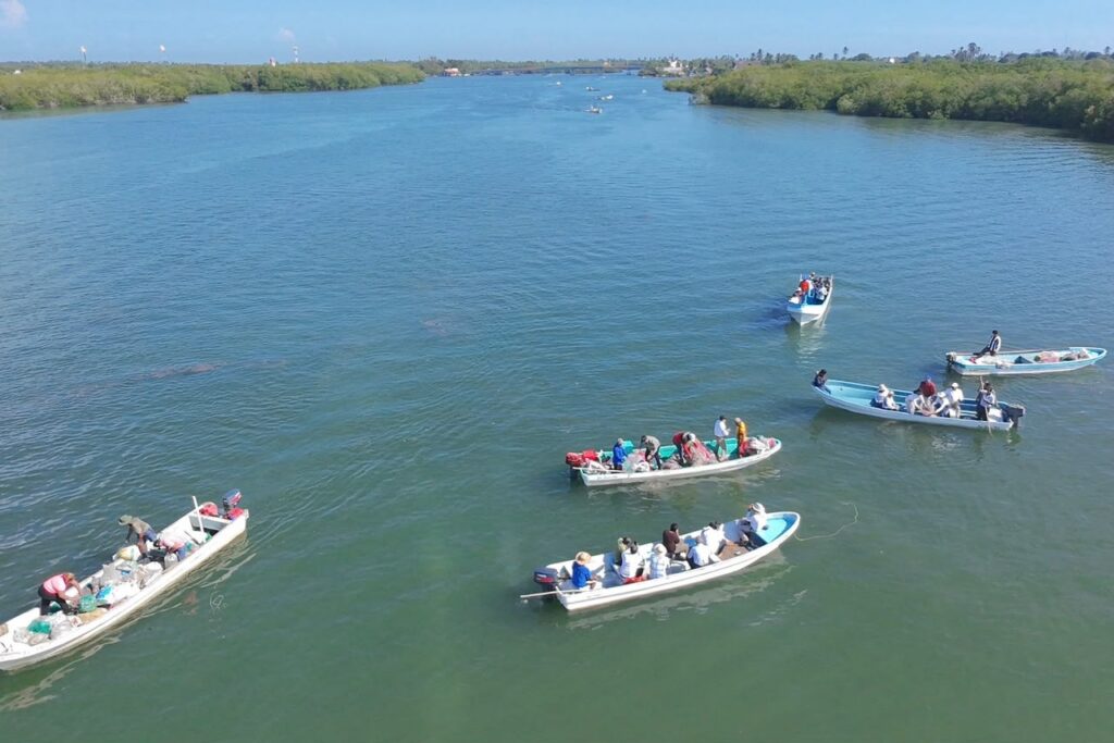 ¡Fomento Al Sector Pesquero En Paraíso! Inician El Riego De Concha En Mecoacán Para Producir 90 Millones De Ostiones ¡Fomento Al Sector Pesquero En Paraíso! Inician El Riego De Concha En Mecoacán Para Producir 90 Millones De Ostiones