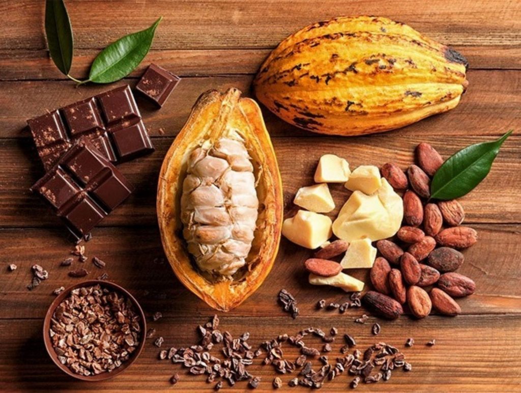 Impulsan El Campo Tabasqueño: Anuncian Nuevo Ciclo De Acopio De Cacao Y Consolidan La Estrategia De Precio Justo Impulsan La Producción De Cacao En Tabasco Con Mazorcas Abiertas, Granos Y Trozos De Chocolate Sobre Una Mesa De Madera, Destacando La Estrategia De Precio Justo Para Los Productores Locales.