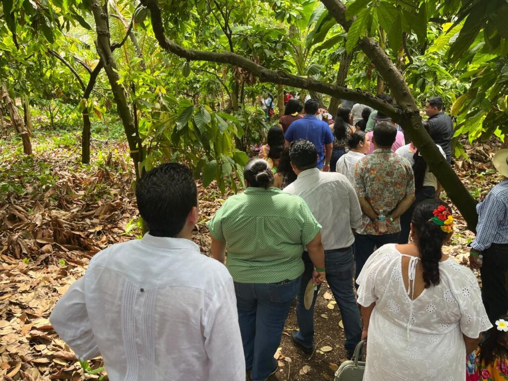 Cacao, Innovación Y Turismo: Inauguran La Experiencia “Caminando Entre La Vida Silvestre” En Cunduacán Para Impulsar El Desarrollo De Tabasco Cacao, Innovación Y Turismo: Inauguran La Experiencia “Caminando Entre La Vida Silvestre” En Cunduacán Para Impulsar El Desarrollo De Tabasco