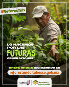 Jornada De Reforestación Tabasco 2026: Cómo Participar Este 4 De Octubre Jornada De Reforestación Tabasco 2026: Cómo Participar Este 4 De Octubre