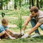 Jornada De Reforestación Tabasco 2026: Cómo Participar Este 4 De Octubre
