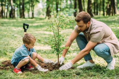 Jornada De Reforestación Tabasco 2026: Cómo Participar Este 4 De Octubre
