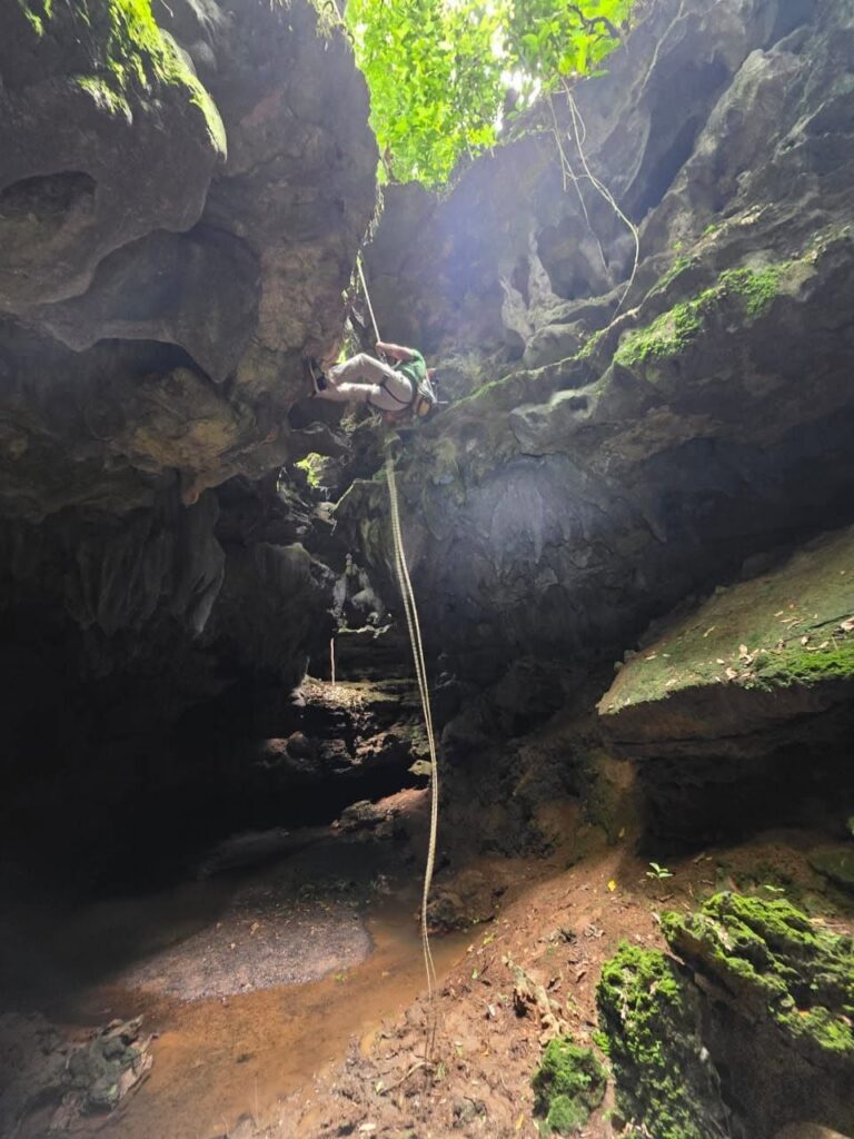 Teapa Entre La Niebla: Guía Imperdible Para Recorrer Sus Grutas Milenarias Y Fincas Plataneras En El Edén Tabasqueño Teapa Entre La Niebla: Guía Imperdible Para Recorrer Sus Grutas Milenarias Y Fincas Plataneras En El Edén Tabasqueño