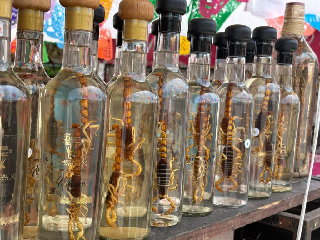 Llega La Guelaguetza A Villahermosa: Una Fiesta De Color, Tradición Y Hermandad Sureña Botellas De Mezcal Artesanal Con Alacranes En Su Interior, Exhibidas Durante La Muestra Cultural De Oaxaca En Villahermosa.