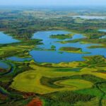 Pantanos De Centla 2026: Guía Para Recorrer El Gran Humedal De Tabasco