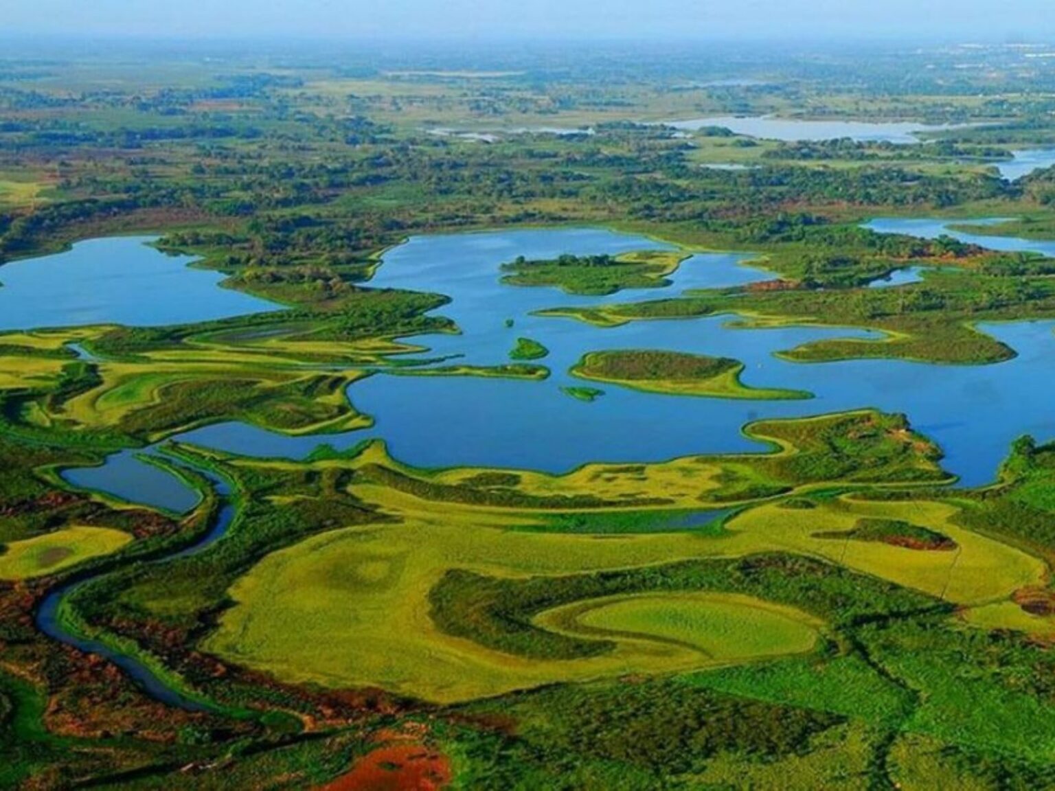 Pantanos De Centla 2026: Guía Para Recorrer El Gran Humedal De Tabasco