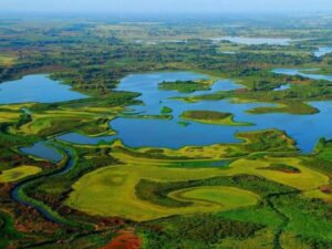 Pantanos De Centla 2026: Guía Para Recorrer El Gran Humedal De Tabasco Pantanos De Centla 2026: Guía Para Recorrer El Gran Humedal De Tabasco