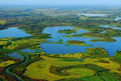 Pantanos De Centla 2026: Guía Para Recorrer El Gran Humedal De Tabasco