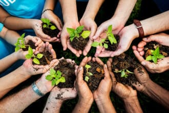 Manos De Varias Personas Sosteniendo Pequeñas Plantas Con Tierra Formando Un Círculo Como Parte De Una Jornada De Reforestación En Tabasco.