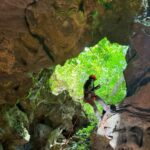 Aventurero Practicando Rappel En Las Formaciones Rocosas De Las Grutas De Los Secretos En Teapa, Tabasco.