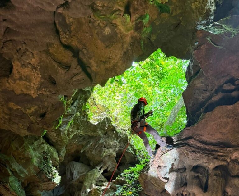 Teapa Teapa Entre La Niebla: Guía Imperdible Para Recorrer Sus Grutas Milenarias Y Fincas Plataneras En El Edén Tabasqueño