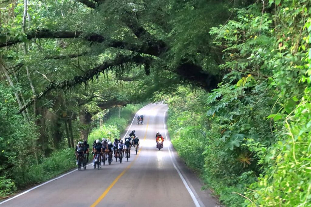 L’étape Tabasco 2026 Lleva A Más De Mil Ciclistas A Recorrer El Edén 72 Https://Www.letapeseries.com Tabasco