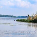 ¿Qué Hacer Este Fin De Semana En Huimanguillo? Descubre La Magia Natural De La Laguna El Rosario