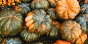 Calabaza Y Camote Del Campo A Las Ofrendas De Día De Muertos En Tabasco