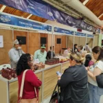 Festival Del Chocolate Tabasco 2026: Conoce Los Requisitos Y Fechas Para Participar Como Expositor