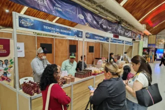 Festival Del Chocolate Tabasco 2026: Conoce Los Requisitos Y Fechas Para Participar Como Expositor