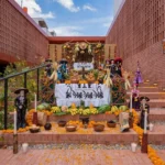 Gran Festival De Tradiciones Chontales 2026 En Villahermosa Fecha, Sede Y Qué Se Sabe