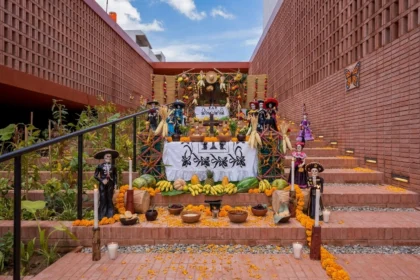 Gran Festival De Tradiciones Chontales 2026 En Villahermosa Fecha, Sede Y Qué Se Sabe