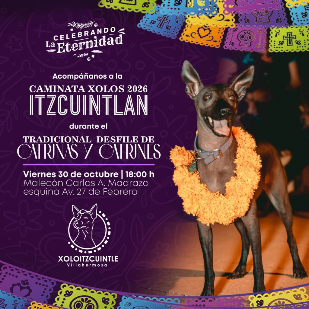 Tradición Y Memoria En La Capital: Guía Completa De Actividades Culturales Para Celebrar El Día De Muertos En Tabasco Tradición Y Memoria En La Capital: Guía Completa De Actividades Culturales Para Celebrar El Día De Muertos En Tabasco