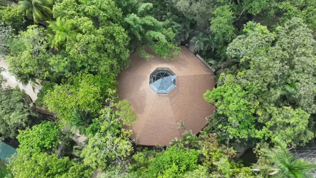 Parque Museo La Venta: Gobierno Del Pueblo Renueva El Emblemático Espacio Y Anuncia Reapertura Parque Museo La Venta: Gobierno Del Pueblo Renueva El Emblemático Espacio Y Anuncia Reapertura