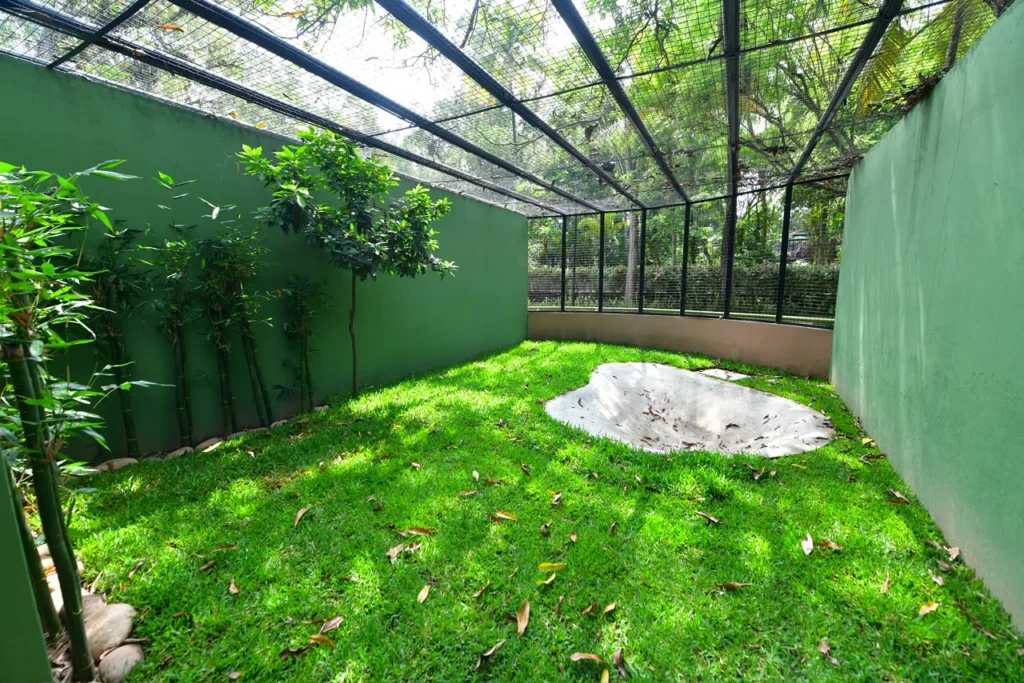 Parque Museo La Venta: Gobierno Del Pueblo Renueva El Emblemático Espacio Y Anuncia Reapertura Parque Museo La Venta: Gobierno Del Pueblo Renueva El Emblemático Espacio Y Anuncia Reapertura