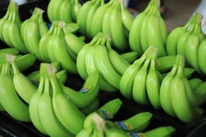 Plátano De Teapa: Del Campo Al Puchero Tabasqueño De Mamá Lupe Plátano De Teapa Del Campo Al Puchero Tabasqueño De Mamá Lupe