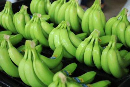 Plátano De Teapa Del Campo Al Puchero Tabasqueño De Mamá Lupe