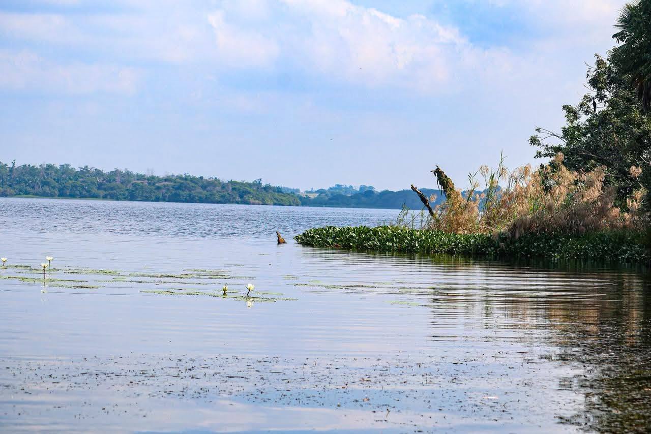 ¿Qué Hacer Este Fin De Semana En Huimanguillo? Descubre La Magia Natural De La Laguna El Rosario